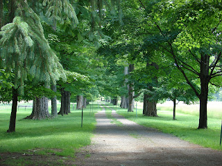 Springwood Estate